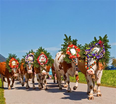 © Familie Gastl, Angerberg