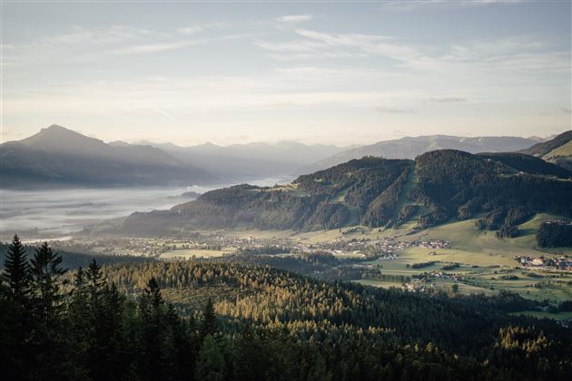 Aussicht Biedringer Platte