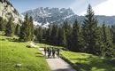 Wanderung im Frühling