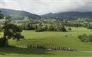 Wunderschöner Ausblick Richtung Dorf