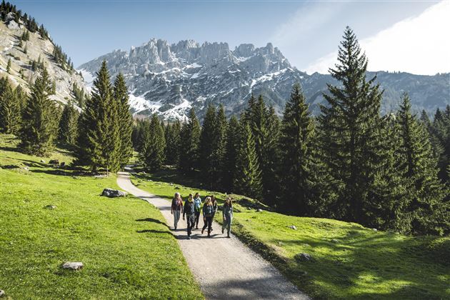 Wanderung im Frühling