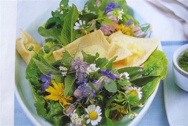 Wiesenkräuterführung (c)Lous Slob