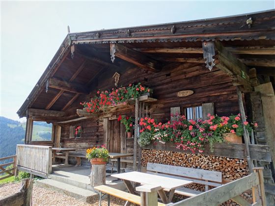 Aussenansicht Sommer 1