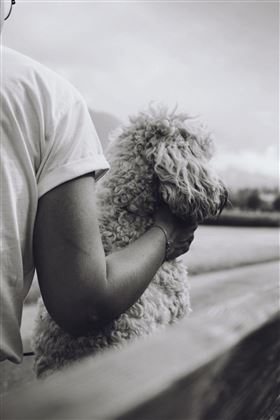 Happy Dog 3