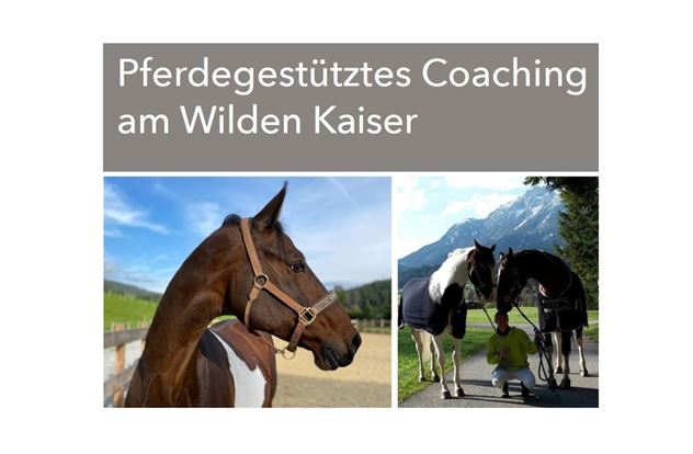 Scheffau_Trattenbachhof_Pferdegestütztes Coaching