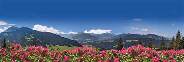 Söll_Panorama_Wilder Kaiser