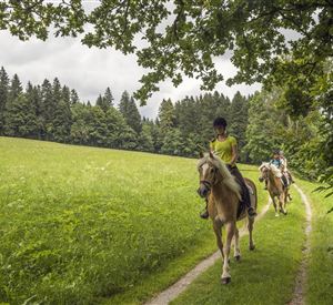 Ellmau_Reiten_Wilder Kaiser