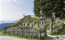 Kraeutergarten