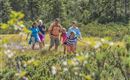 Moorwanderung
