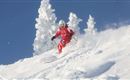 Scheffau_Skischule Scheffau_1