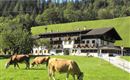 Söll_Außenansicht_Wilder Kaiser