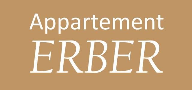 Logo Appartement Erber V6