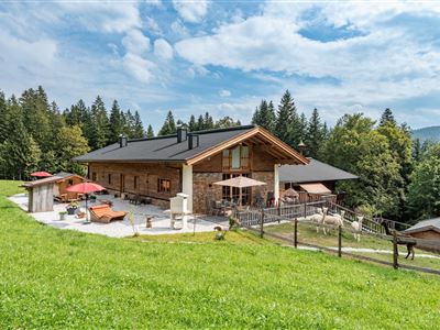 Almchalet_Webernhof_Schwendterweg_100_Going_Haus_a