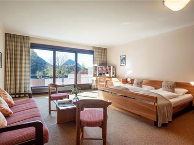 Aparthotel Andreas Hofer Kufstein - Appartement