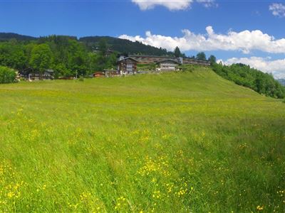 Apartment / Ferienhaus, Weinberg - Kirchberg in T