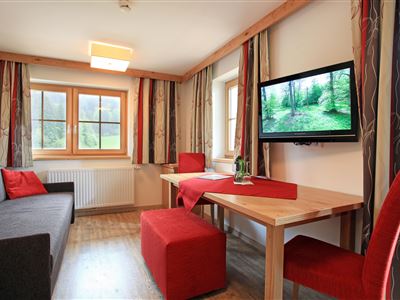 App. Ellmauer Tor Wohnzimmer