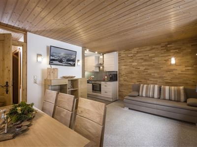 Appartement Bergwald Wohnzimmer1