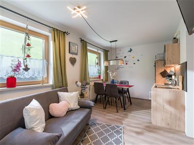 Appartement Leonie Wohnkücke_1