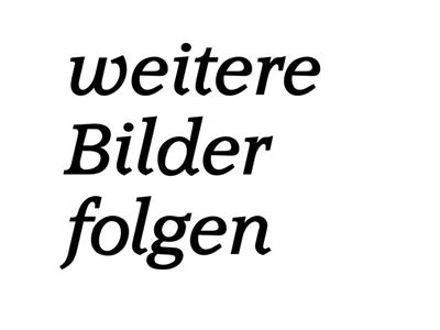 Bild-Weitere_Bilder_folgen