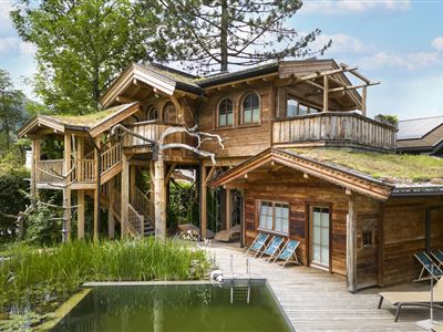 Treehouse in summer