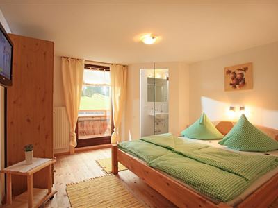 Ferienwohnung 2: Doppelzimmer mit Dusche/WC und TV