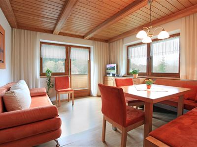 Ferienwohnung-Hofer-Scheffau-Niederachen-4-Anni-Ho