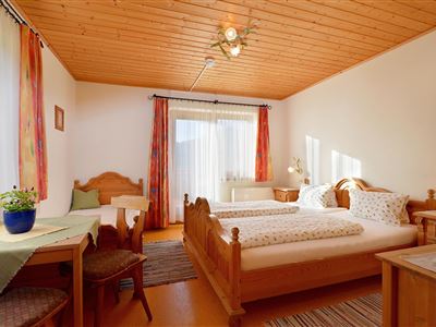 Gasthof-Wiesenhof-Bikerranch-Scheffau-Dorf-33-Petr