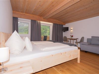 hote-seethaler.com-Panoramablick-16 (1)