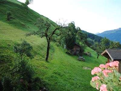 Siedlerhof_App.Kreuzjoch_Ausblick (2)