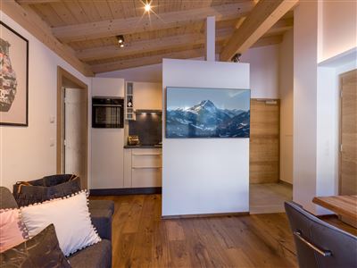 Sonnberg Living Appartement Junior_Plus Wohnzimmer