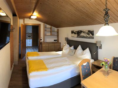 Wilder Kaiser_Ellmau_Pension_Appartements_Steiner 112