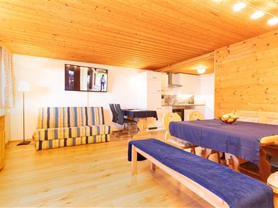 Sala de estar abierta, cocina, TV vía satélite moderna y alojamiento para dormir