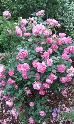 20150610_174843[1]