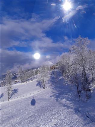 20201226_102154
