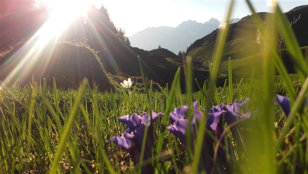 Abendstimmung Kitzbüheler Horn