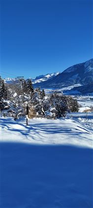 Advent im Schnee