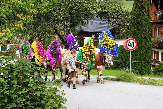 Almabtrieb