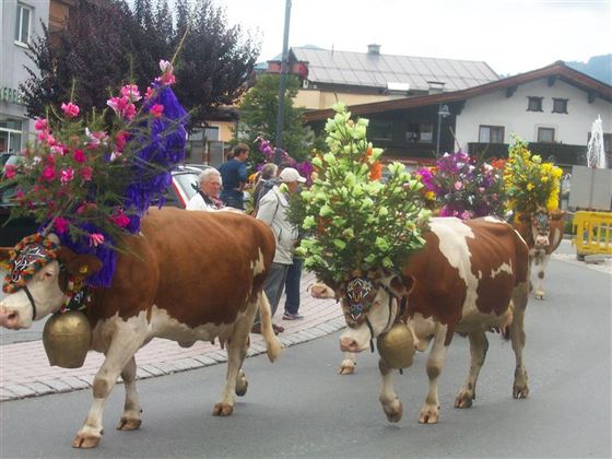 Almabtrieb