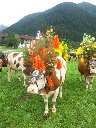 Almabtrieb im September