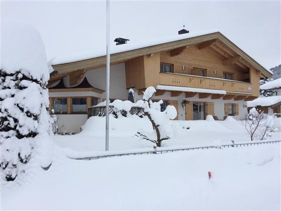 Ambiente Winter
