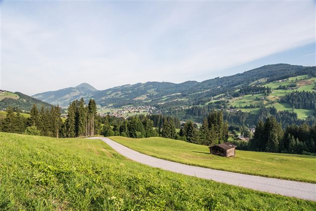 Anfahrt auf den Berg