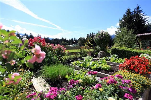 Ansicht Garten