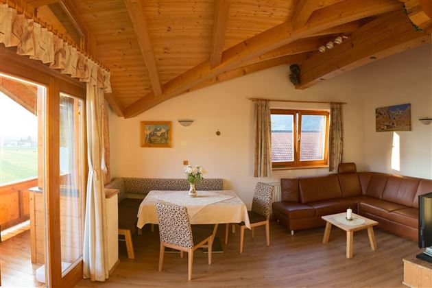 Appartement 1 - Wohnraum