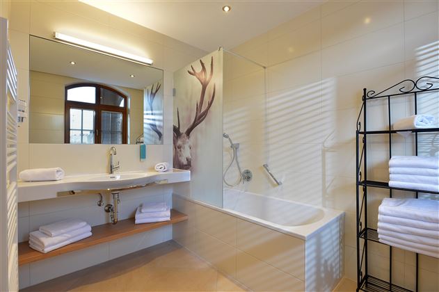 Appartement 9 Badezimmer1
