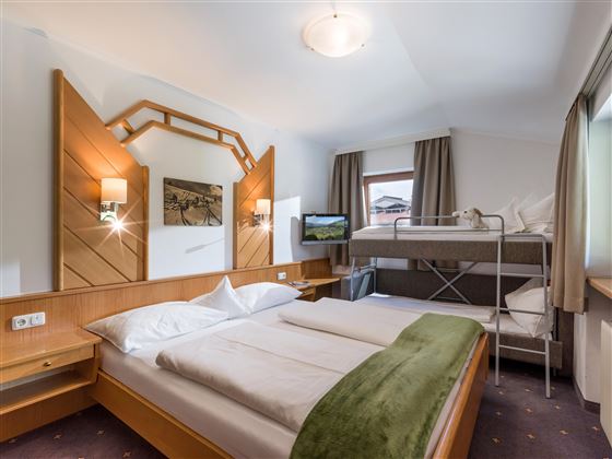 Appartment Kitzbuehler Horn