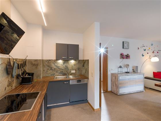 Appartement Niclas Wohnküche_2