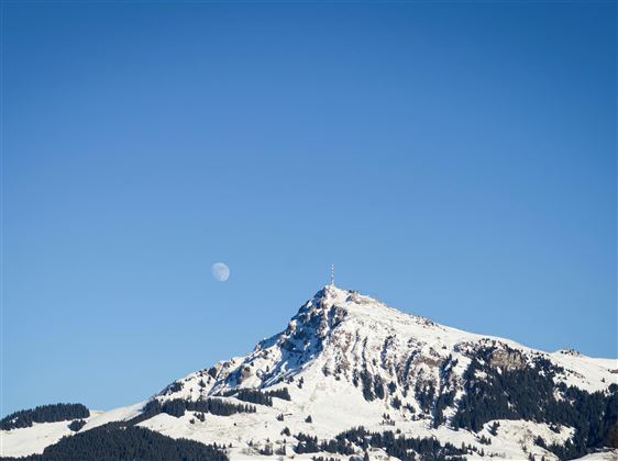 Appartement_Ski_und_Ski_Out_Klausen_Kirchberg_Auss