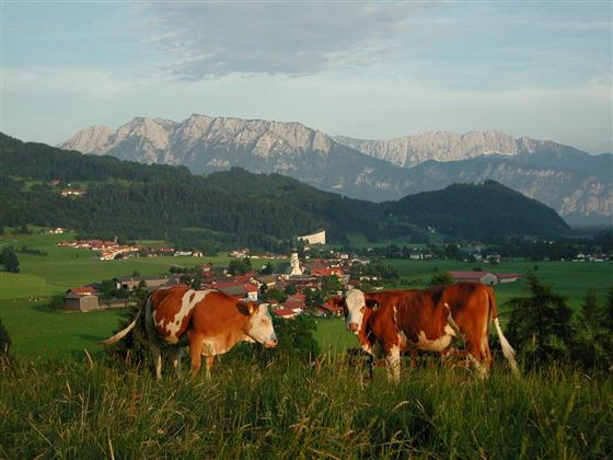 Appartements Osterauer, Blick vom Kalvarienberg