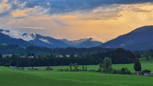 Ausblick