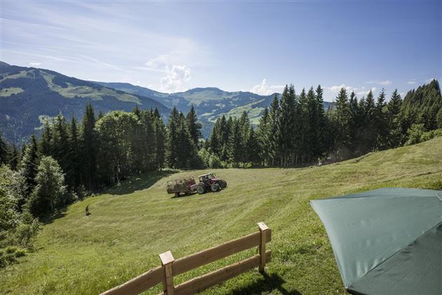 Ausblick